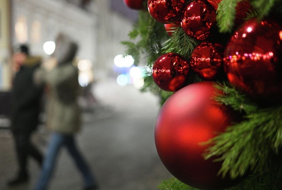     / Источник: © Максим Богодвид/РИА Новости