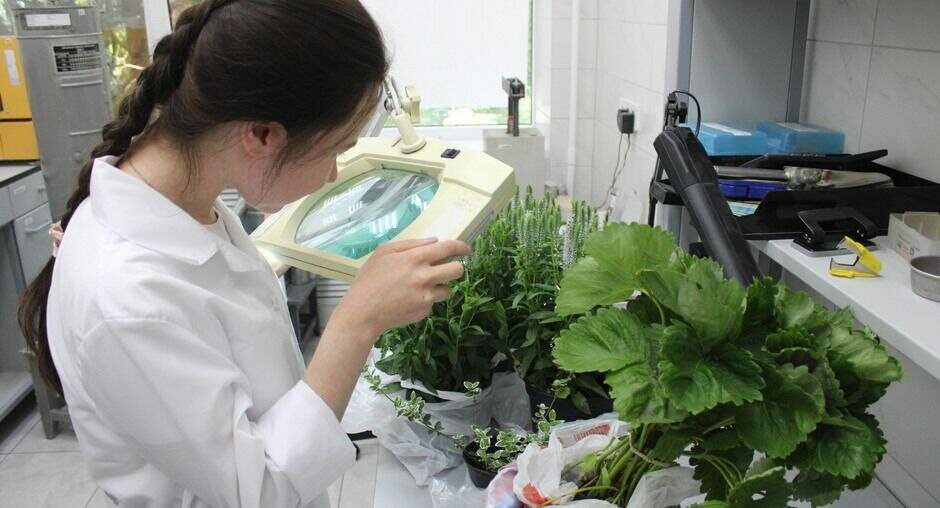 Фото: пресс-служба Россельхозцентра по РТ