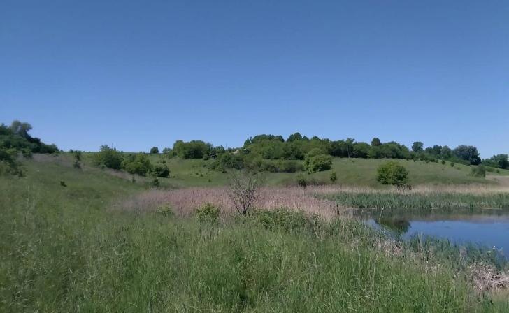    фото Курские известия