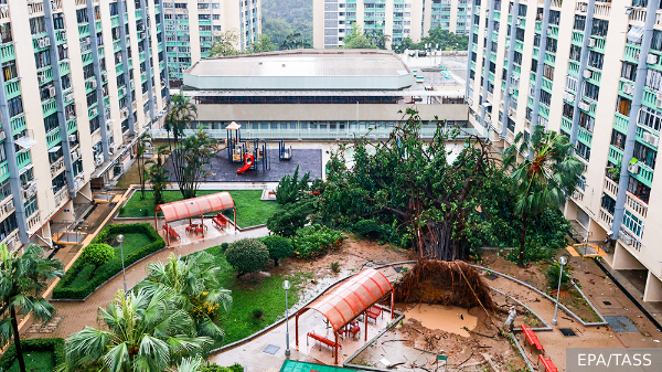     Фото: EPA/TASS   
 Текст: Валерия Городецкая