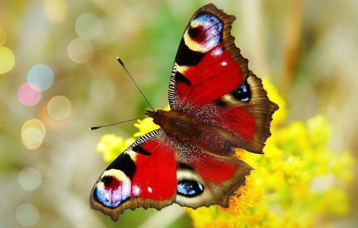 Жизнь )) фото яндекс.