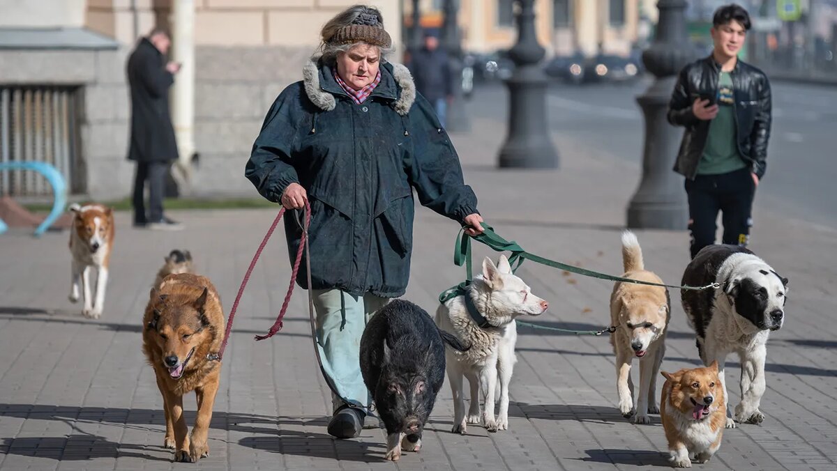   Александр Рощин / ТАСС