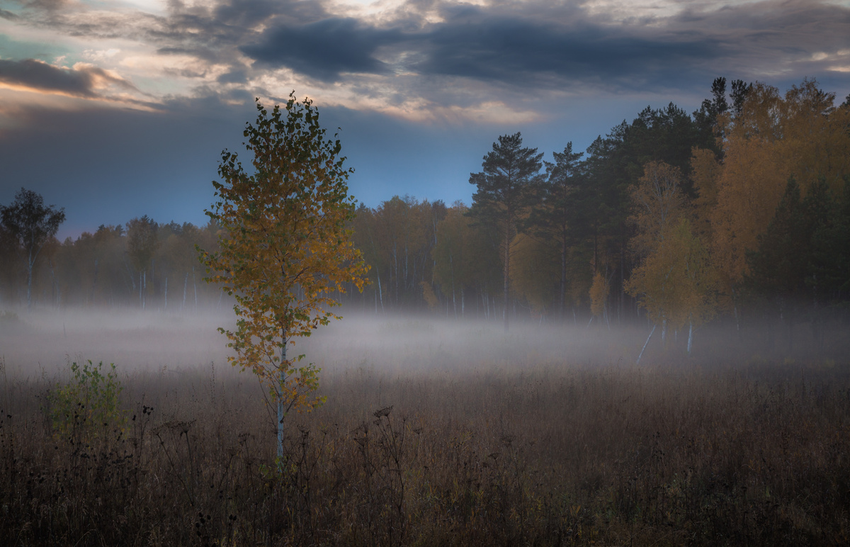 Соловьева Карина Васильевна, психолог Ростов-на-Дону