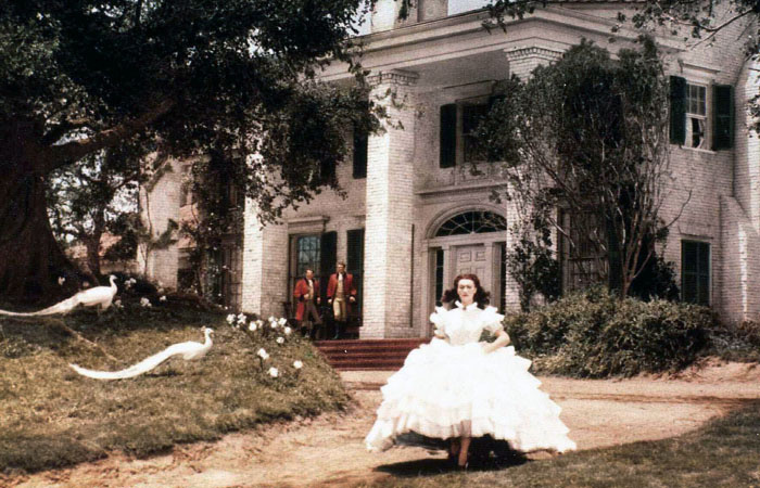 В только посмотрите на этих белых павлинов