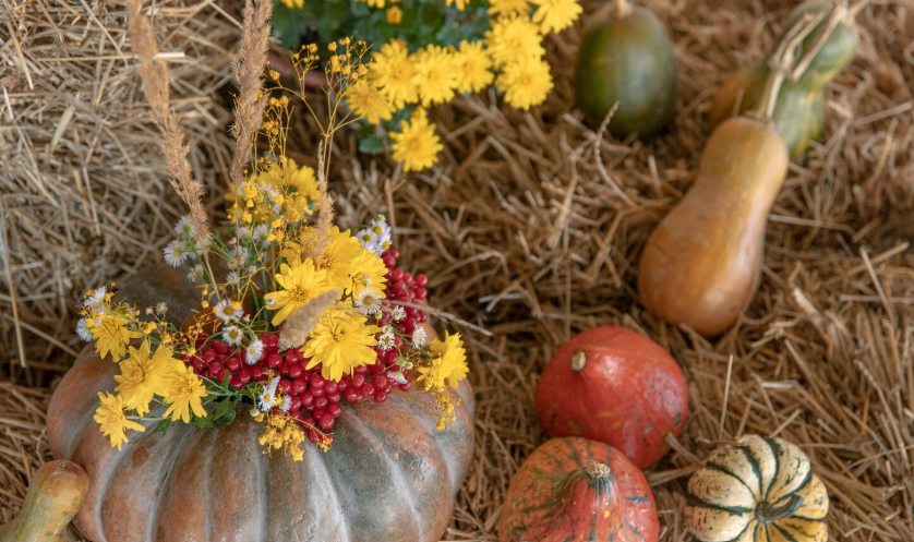 Изображение: ru.freepik.com