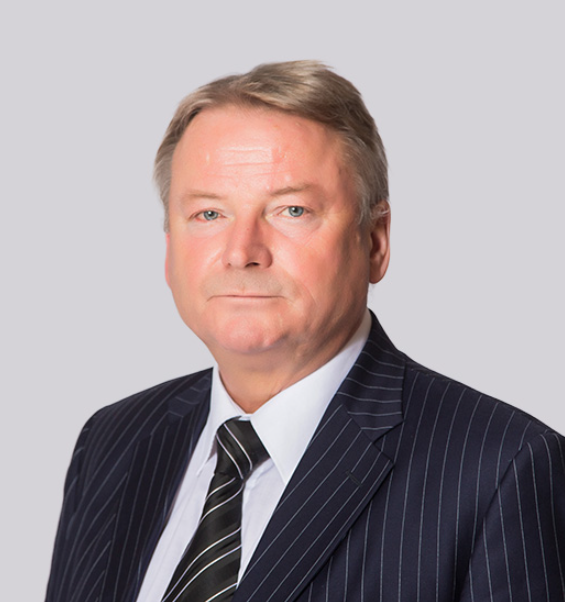 В.А. Мещеряков, Советник ("Городисский и Партнёры", Москва)