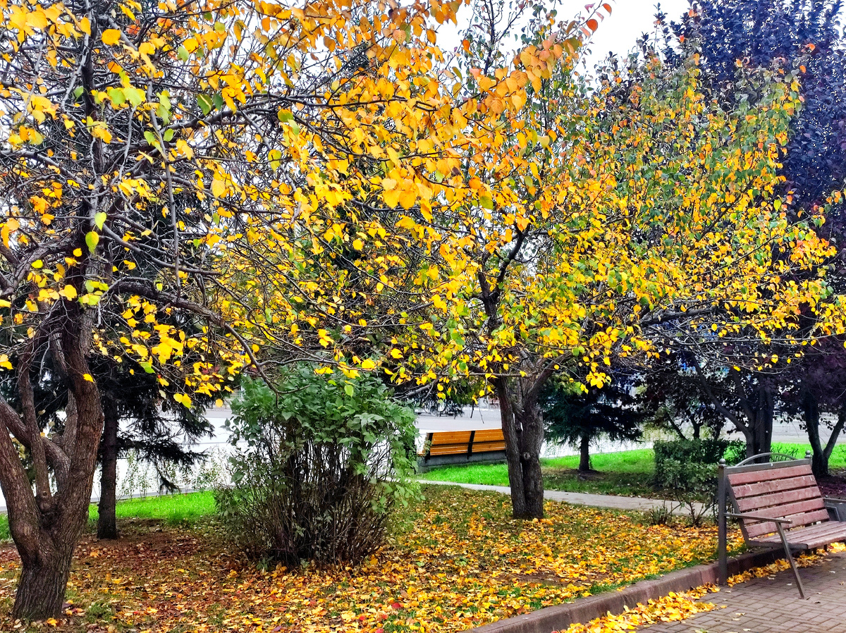 Фото автора 