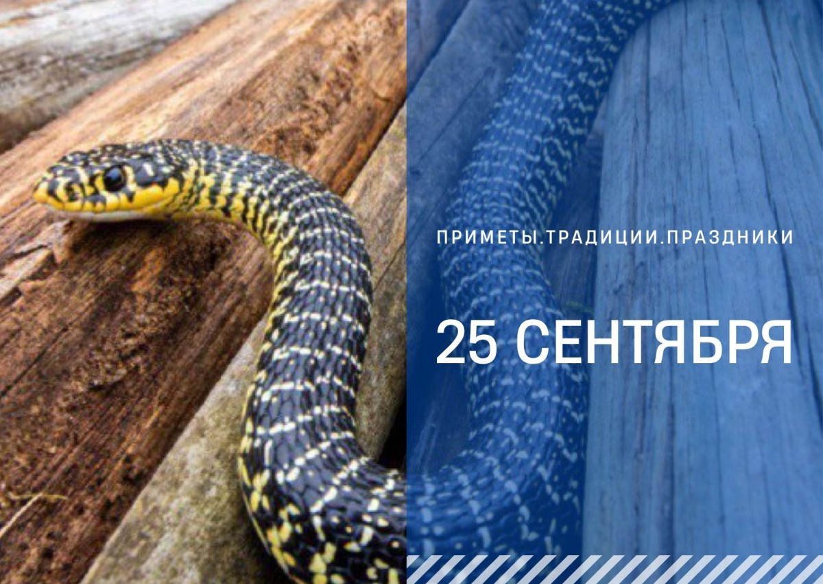   ГТРК "Ставрополье"