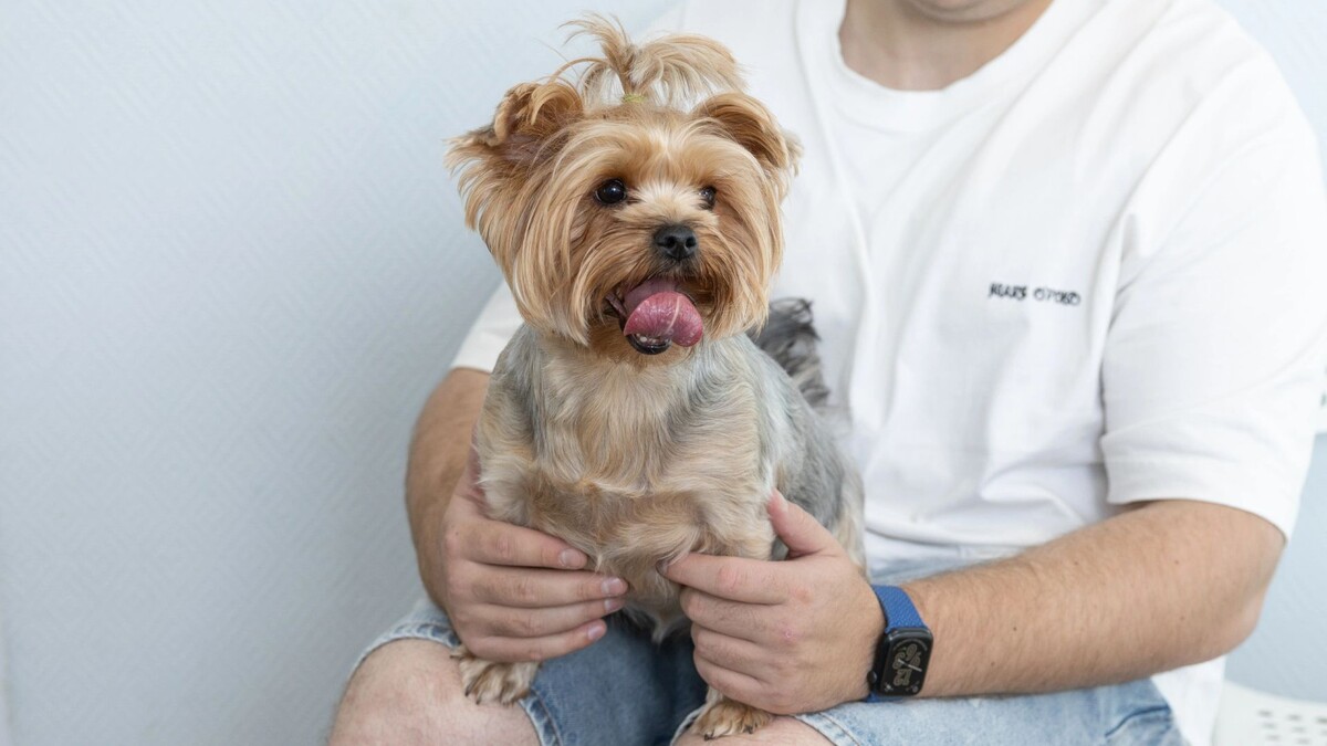    Фото: Федор Воронов/«Ямал-Медиа»