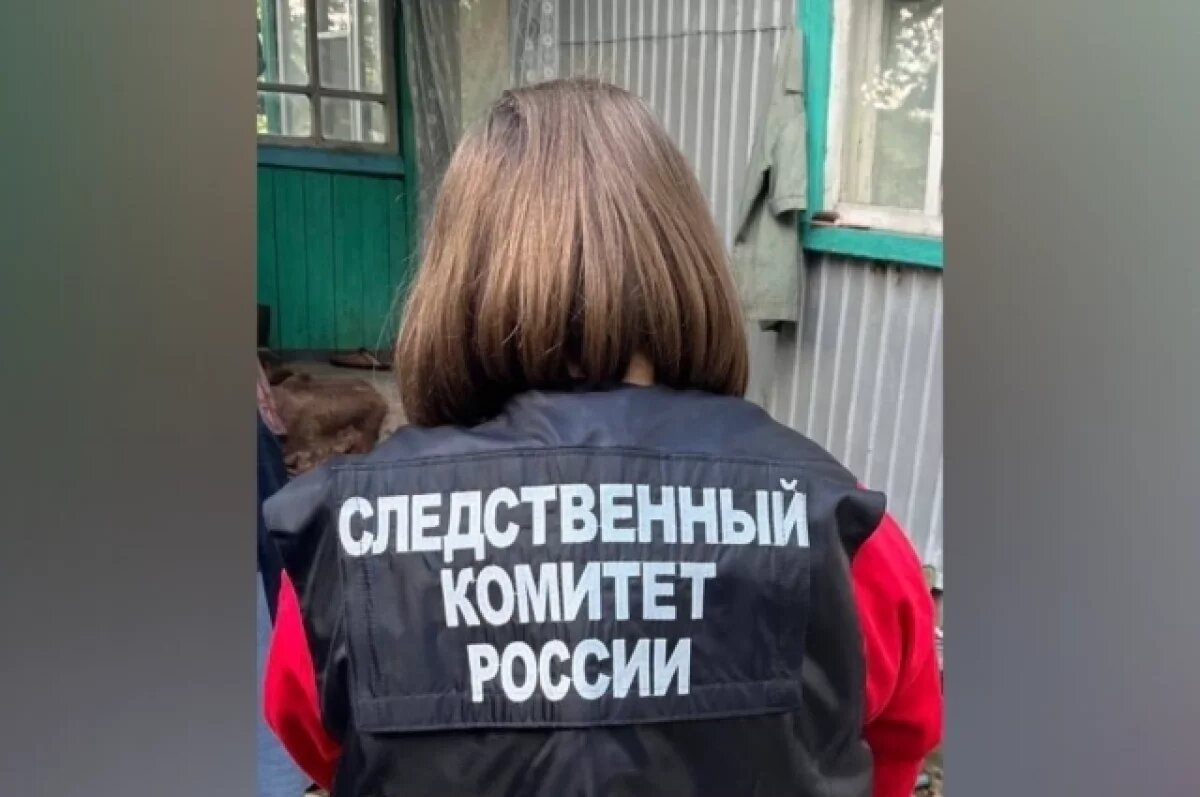    Житель воронежского хутора до смерти избил соседа кувалдой