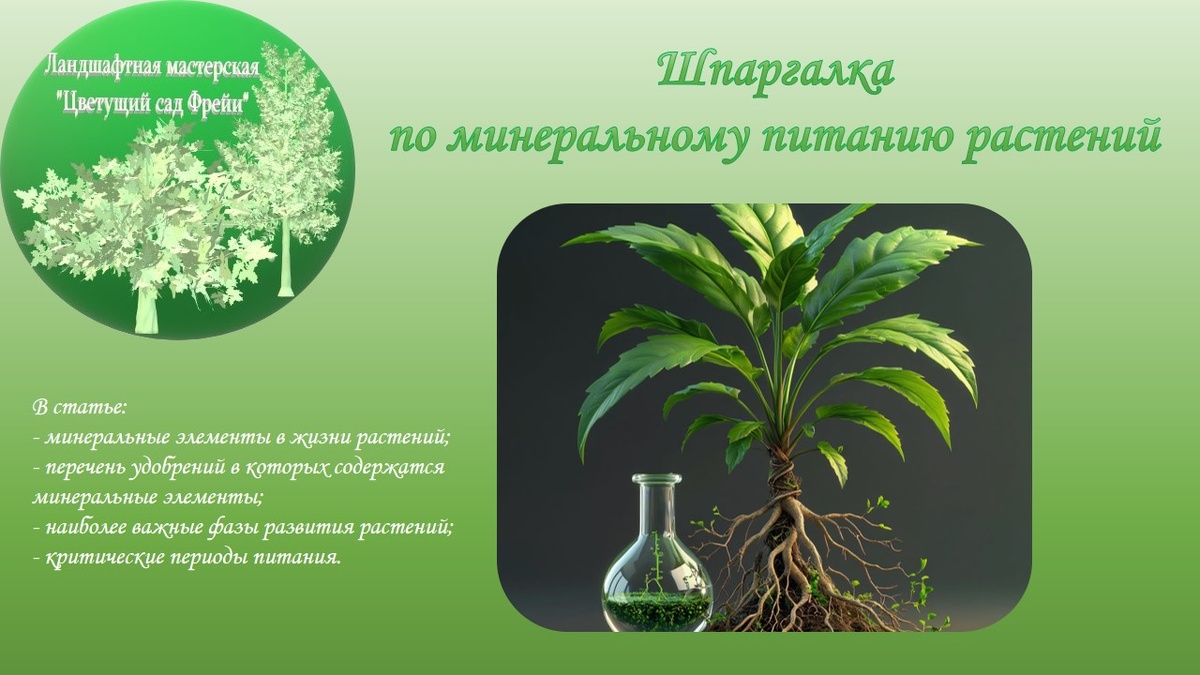 Фото автора с использованием изображения, созданнным ИИ.