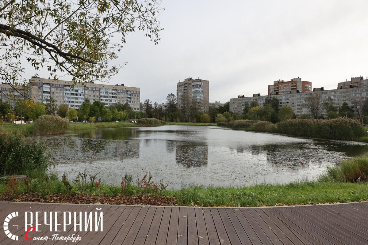 Фото: Дмитрий Фуфаев / «Петербургский дневник»
