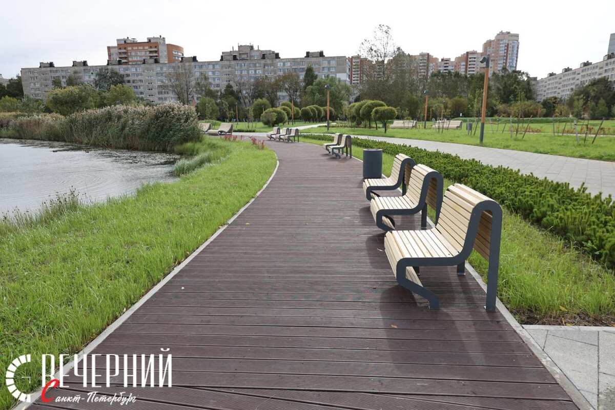 Фото: Дмитрий Фуфаев / «Петербургский дневник»
