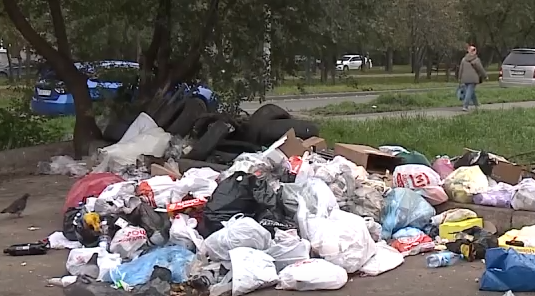     В красноярском микрорайоне Зелёная роща жители устроили настоящую помойку