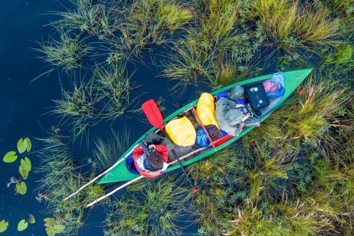    Обитателей Полистовского заповедника запечатлел фотограф