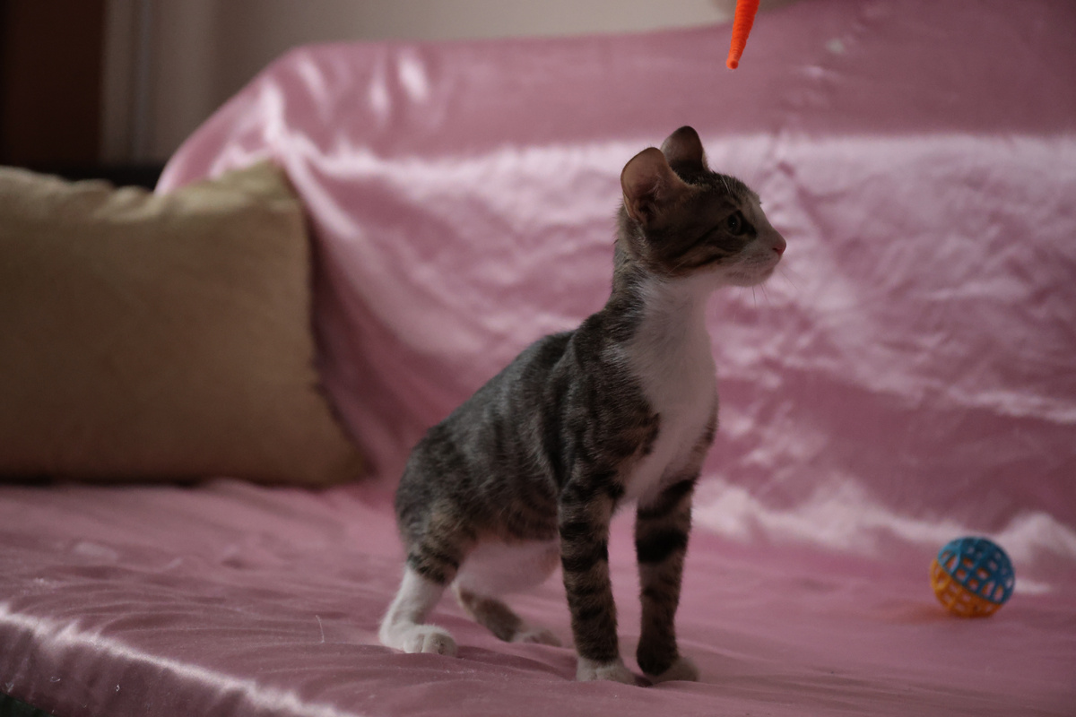 Тор - бог грома:)