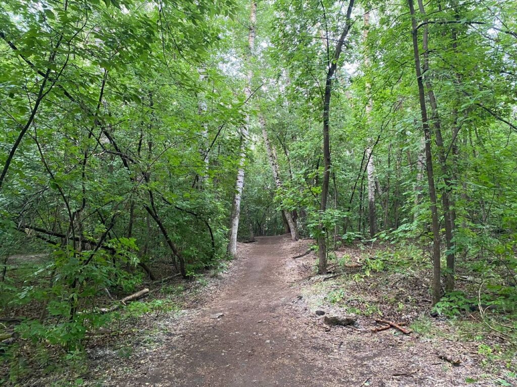    Фото: В курсе.ру Ульяна Бажанова