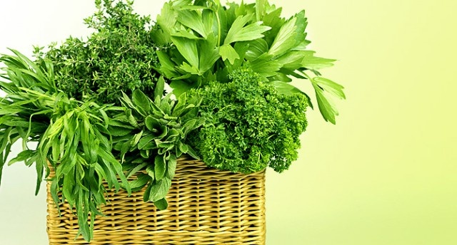 фото взято с сайта https://s00.yaplakal.com/pics/pics_preview/8/0/3/3816308.jpg