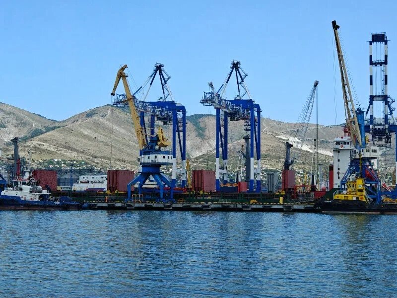    Фото: Юрий Серебренников/BFM Кубань