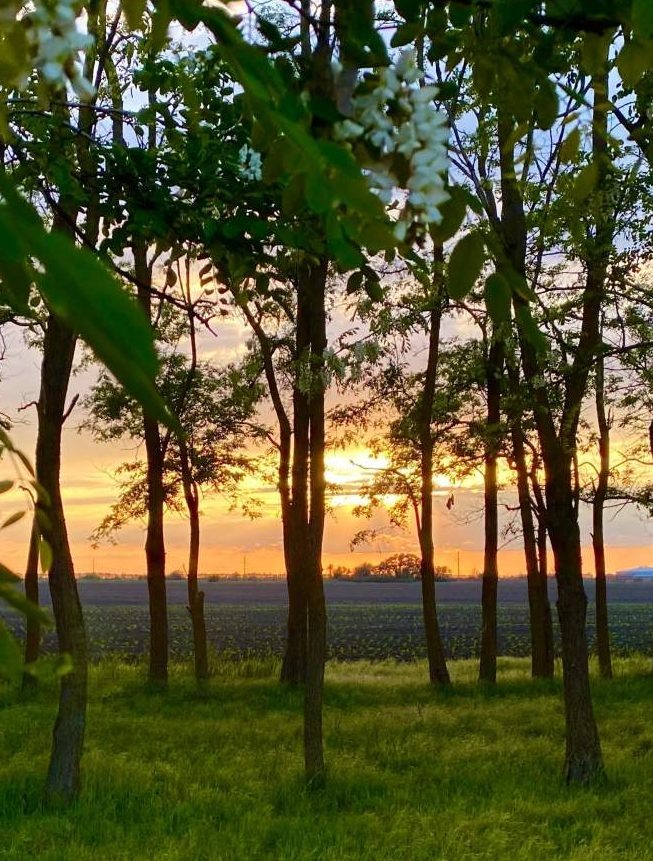    фото "Веселовские вести" Людмила Сахарчук Веселовские вести