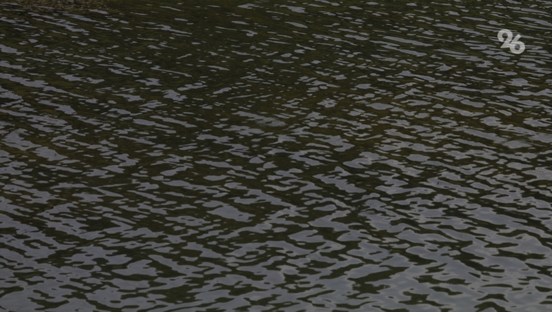      Фото: ИА «Победа26»