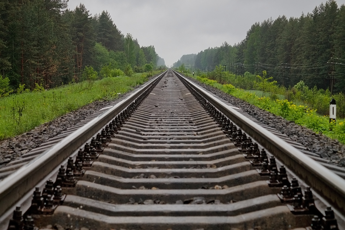 commons.m.wikimedia.org