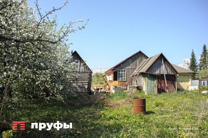    Фото: Пруфы.рф