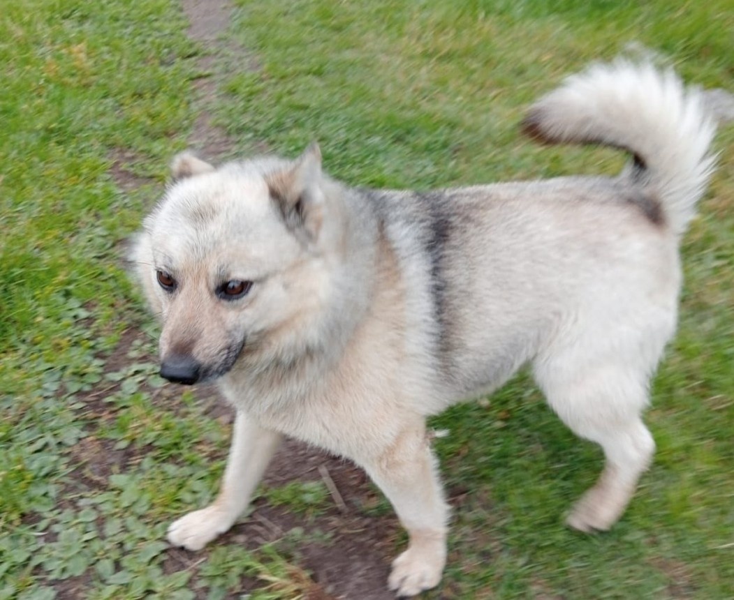 Фото предоставлены Еленой Филипповой