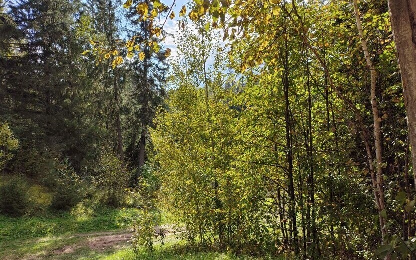    Погода в Ижевске на день: 25 сентября ждем небольшие и до +11°С