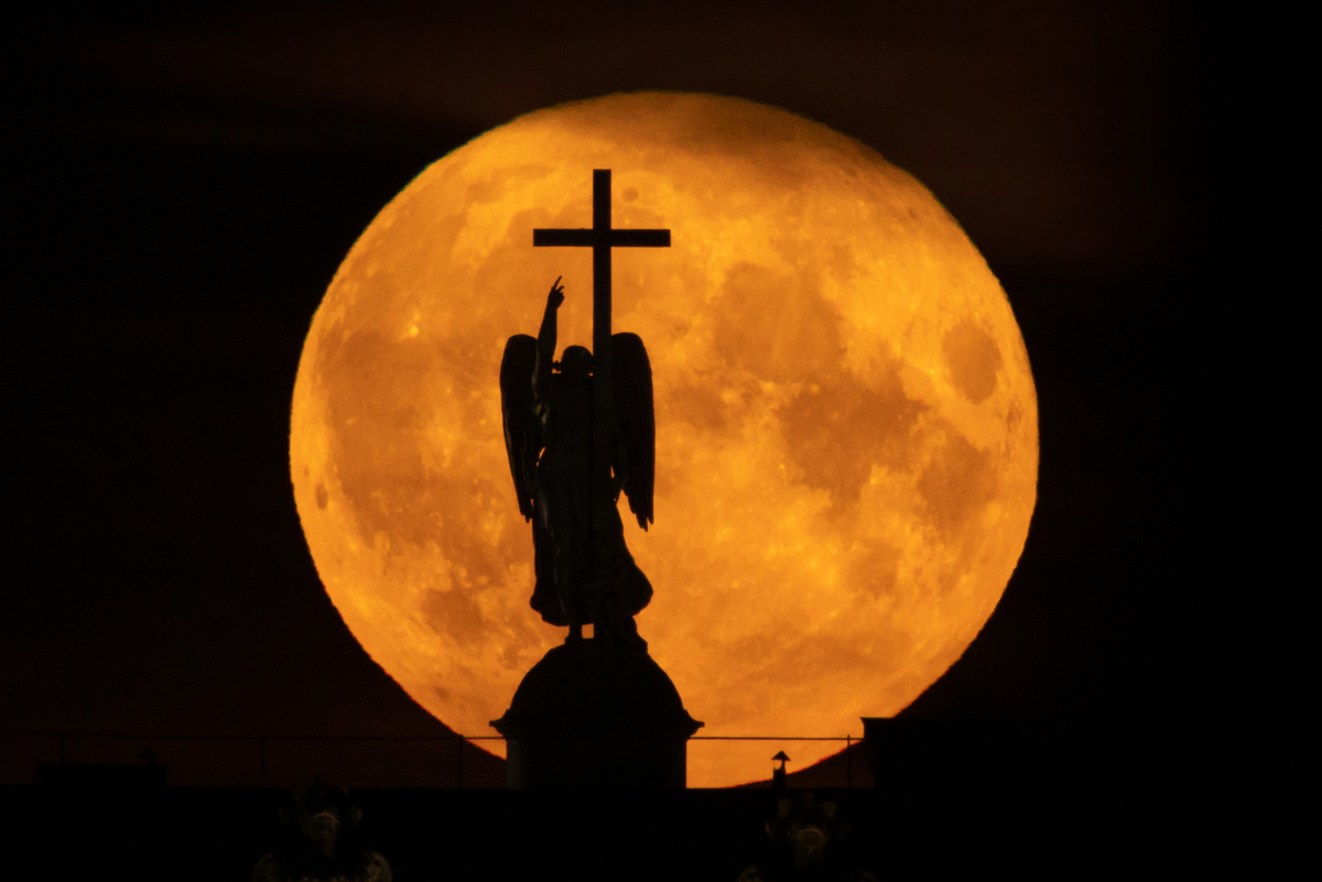 Фото: Дмитрий Фуфаев / «Петербургский дневник»