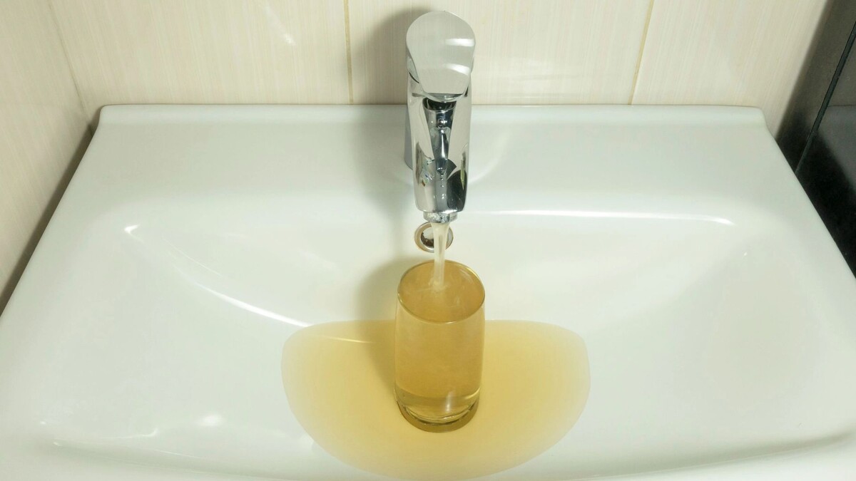    Фото: Sergey Neanderthalec / Shutterstock / Fotodom