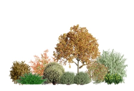 Список растений и схему посадки смотрите на сайте lndcom.ru в разделе "Готовые проекты"