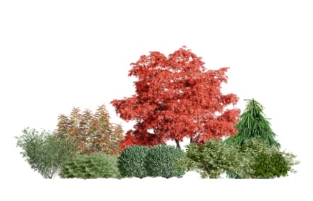 Список растений и схему посадки смотрите на сайте lndcom.ru в разделе "Готовые проекты"