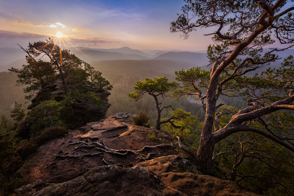 Картинка найдена на просторах интернета, ссылка https://yandex.ru/images/search?from=tabbar&img_url=https%3A%2F%2Fi.pinimg.com%2Foriginals%2Fa8%2F34%2F3f%2Fa8343f812779b5e7bd53274cf0551a19.jpg&lr=47&pos=15&rpt=simage&text=%D1%86%D0%B2%D0%B5%D1%82%D1%8B%20%DА0%BA%D1%80%D1%83%D0%BF%D0%BD%D0%BE%20%D1%84%D0%BE%D1%82%D0%BE