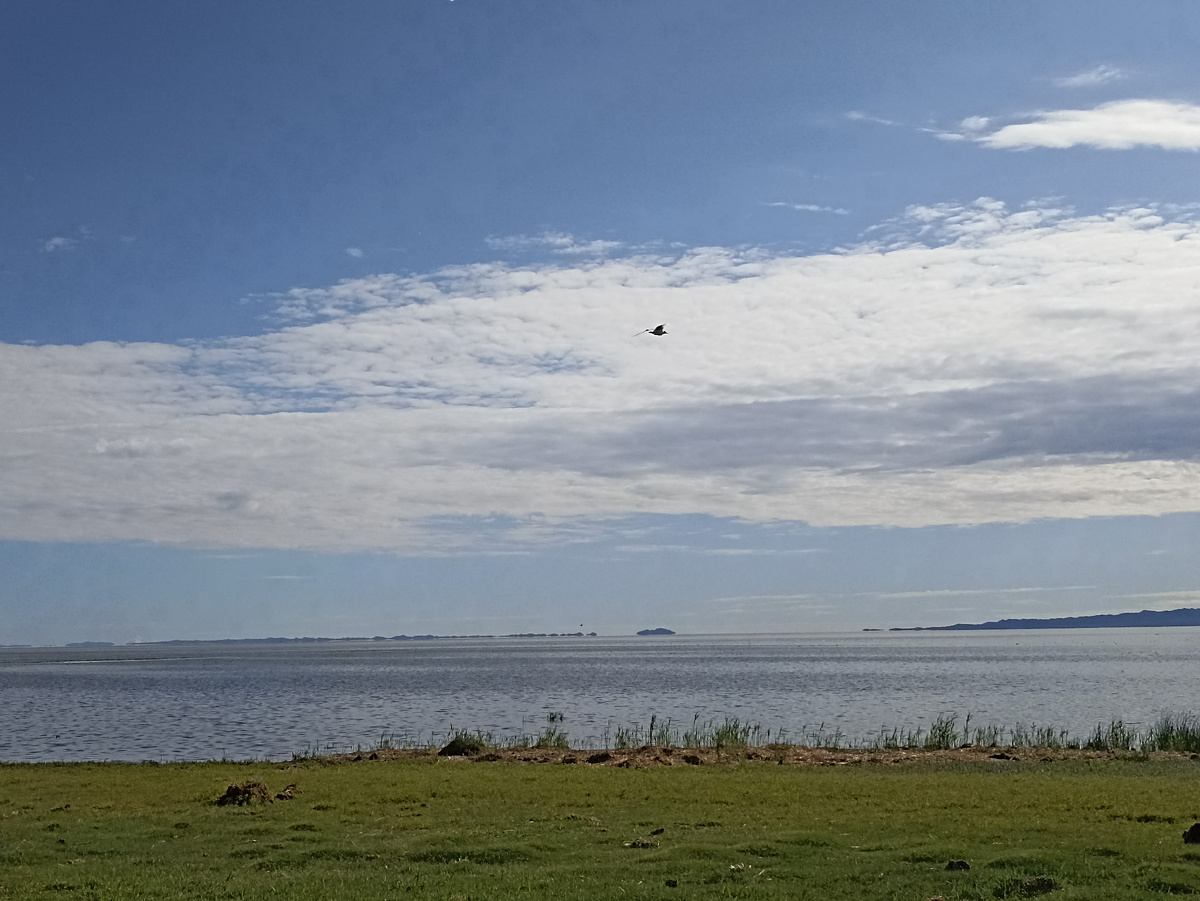 Хар-Ус Нуур