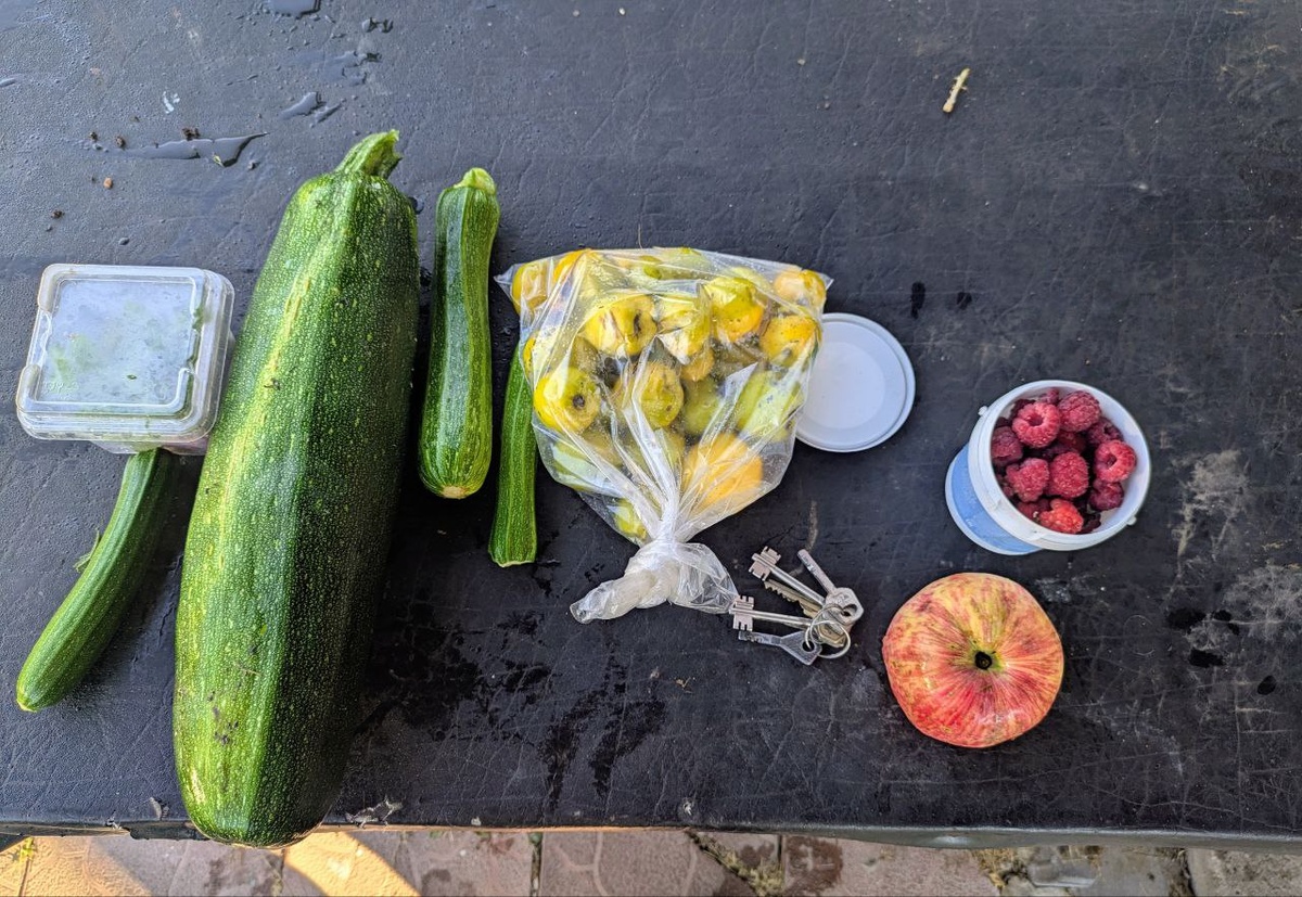 Дачный урожай. Здесь и далее: фото дзен-канала История одного ремонта и что было дальше