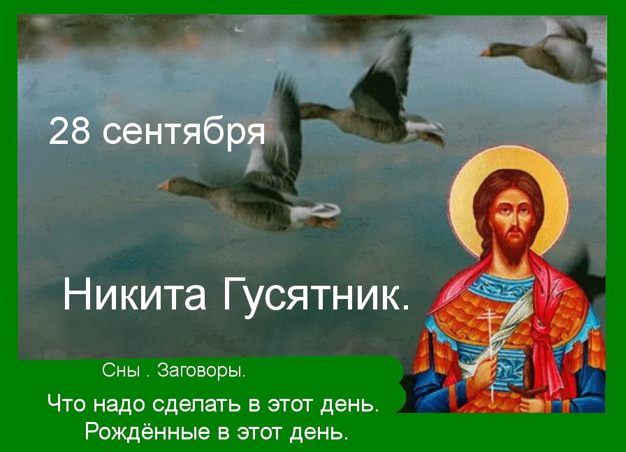 Источник : Яндекс  картинки.