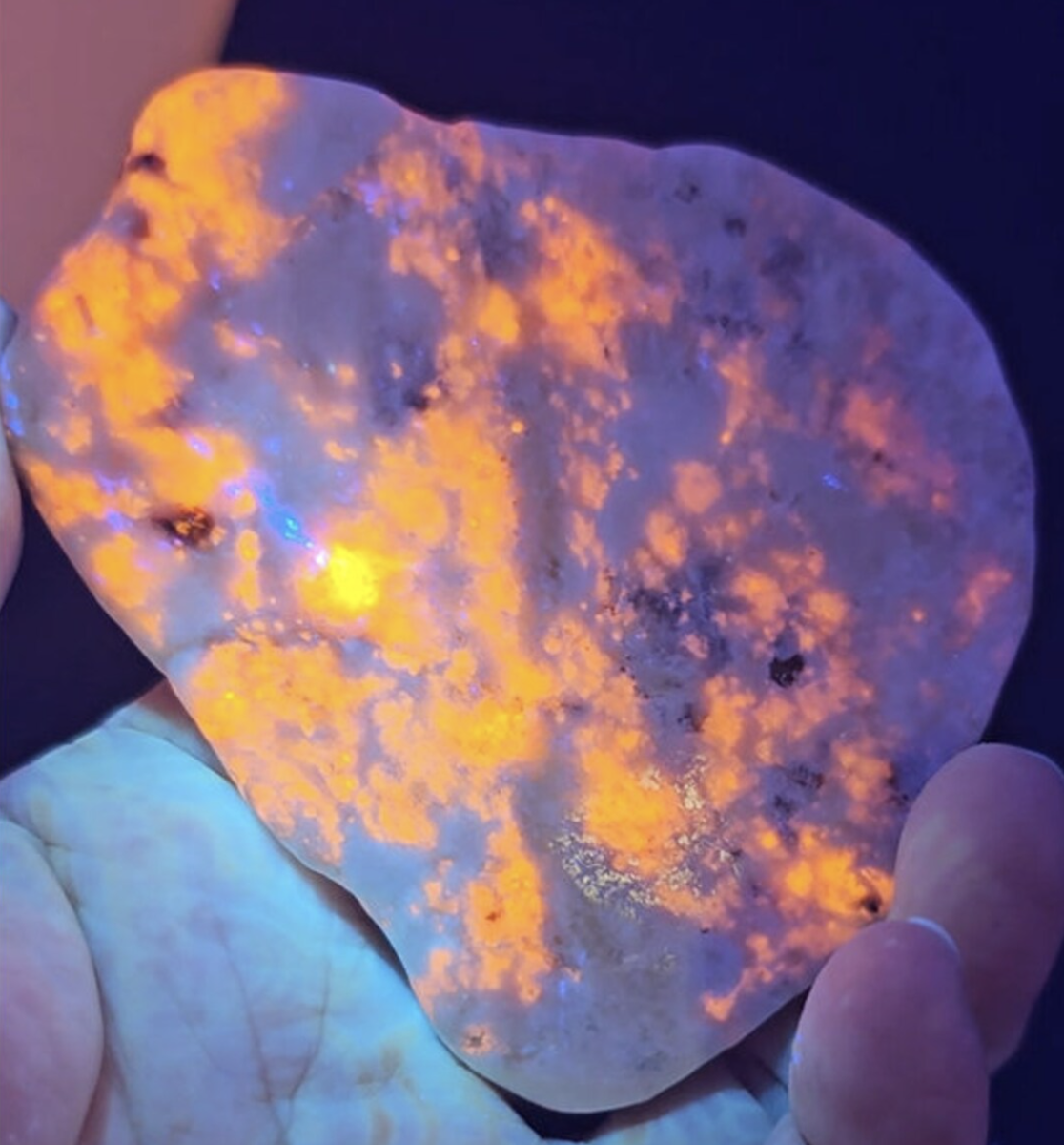 Полированный/срез хакманита с проявлением тенебресценции