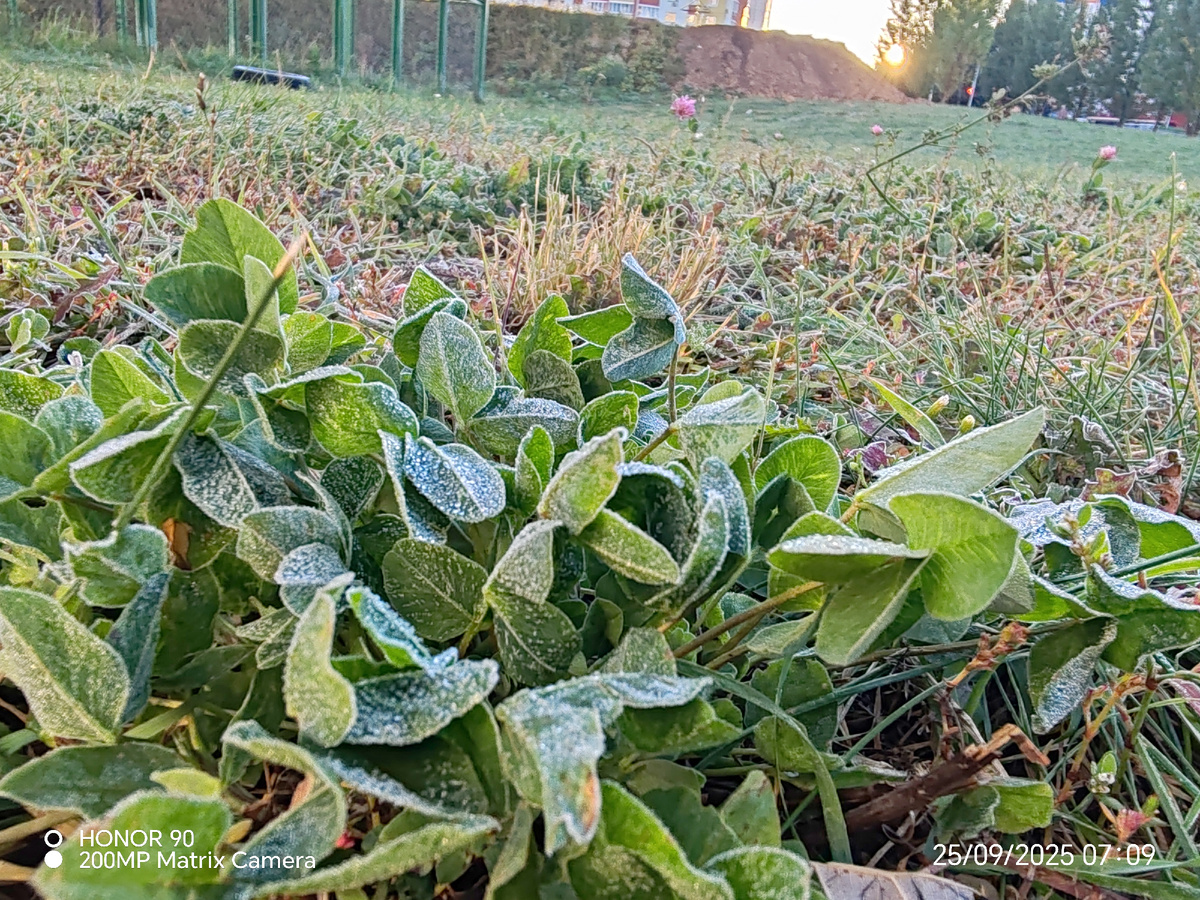 Фото автора канала.