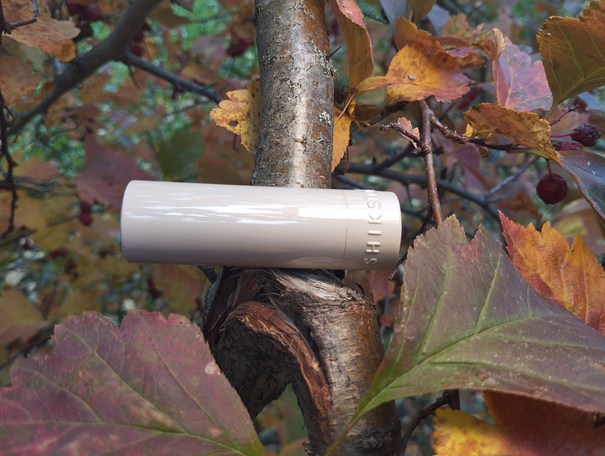 SHIKSTUDIO Satin Lipstick стоимостью 1000 руб. 