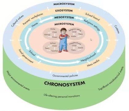 Экологическая модель У. Бронфенбреннер