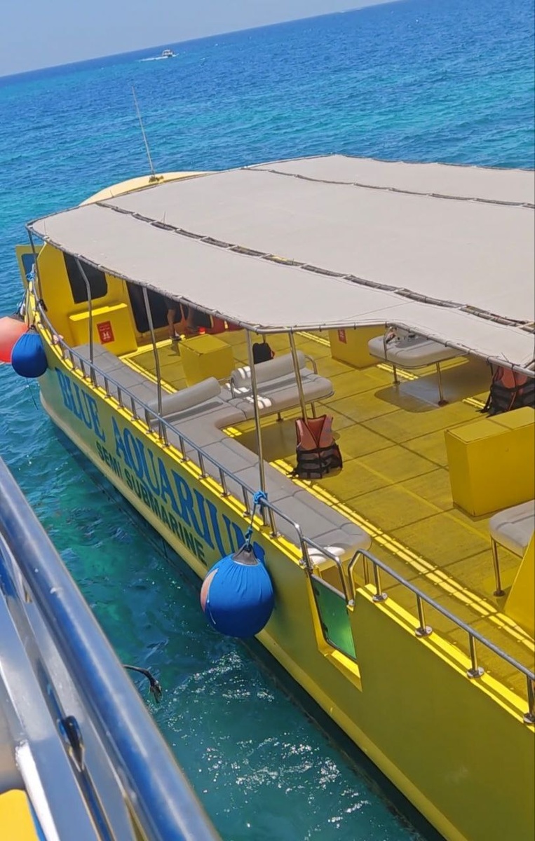 А дно стеклянное! Фото автора.