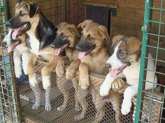 ОЧЕНЬ ВАЖНАЯ ИНФОРМАЦИЯ! Новая площадка канала