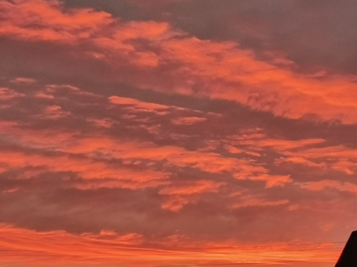 Небо очень похоже на эпизод из фильма "Унесенные ветром"