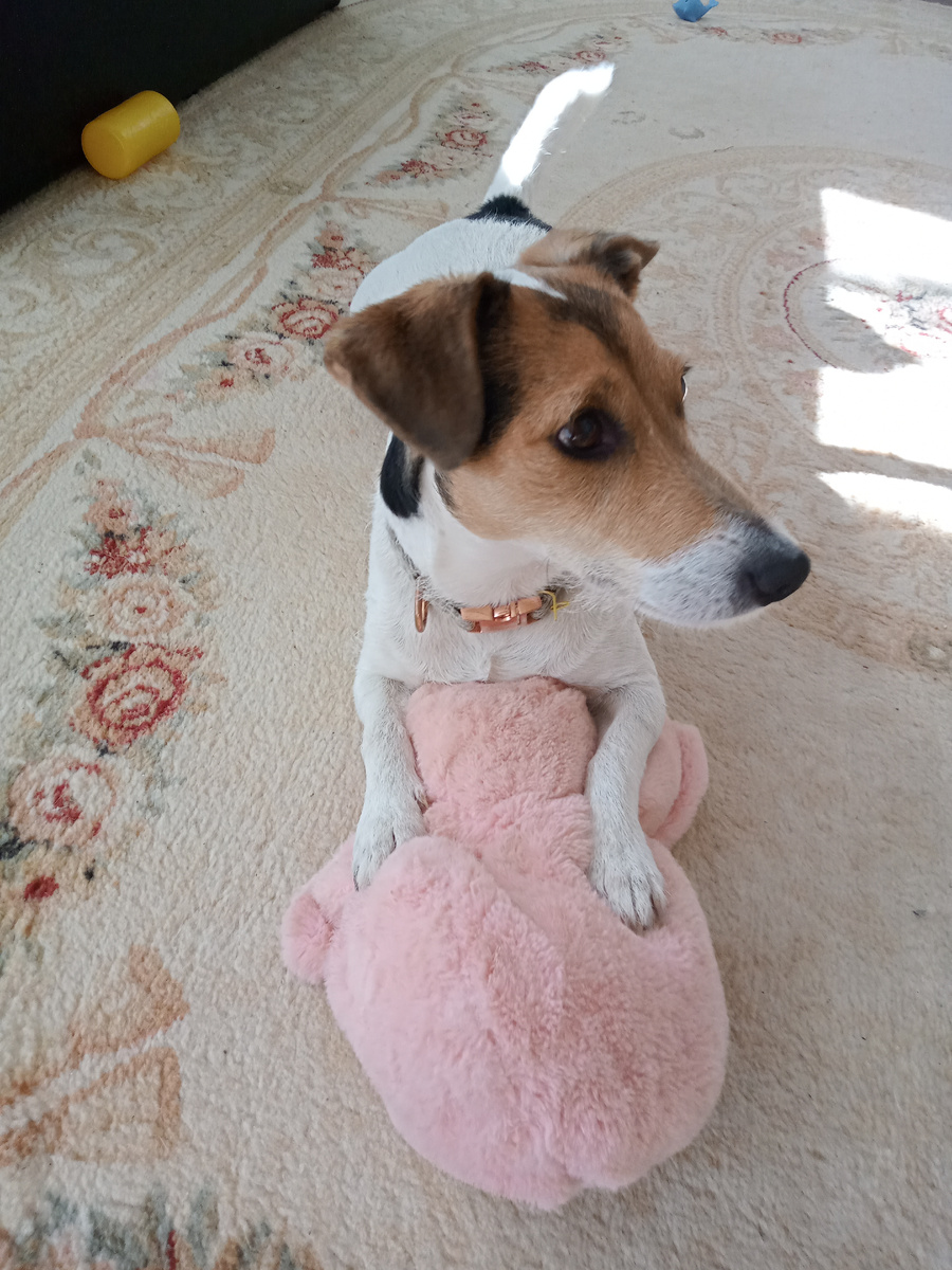 Тут заяц уже без ног и ушей...