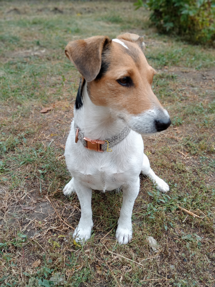 Ждёт одобрения.