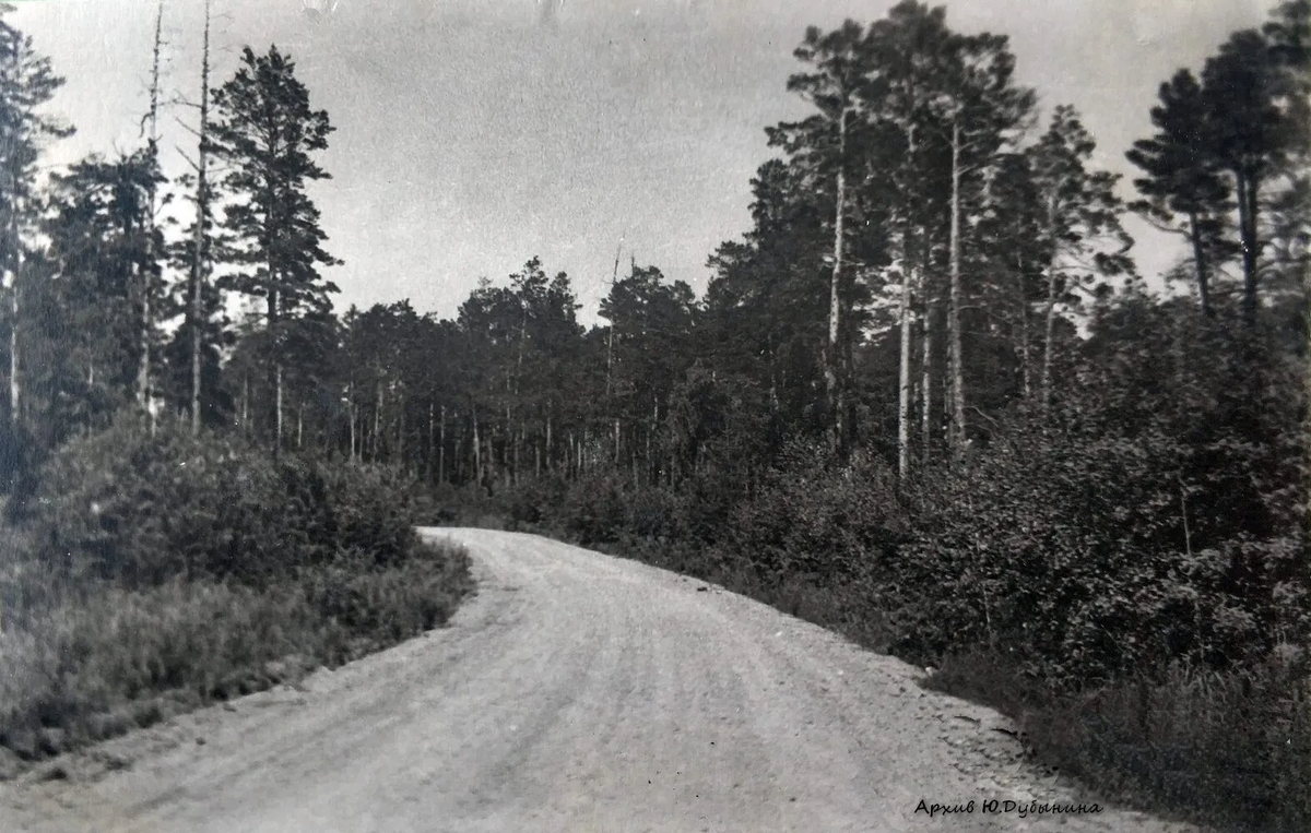 Дорога к п\л Чайка 1964 г. Фото из архива автора.