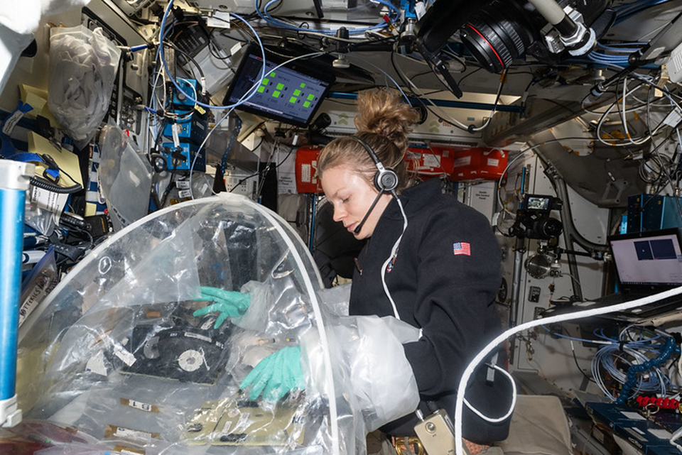 Зена Кардман работает с биологическими образцами на станции. Фото: nasa.blog.com