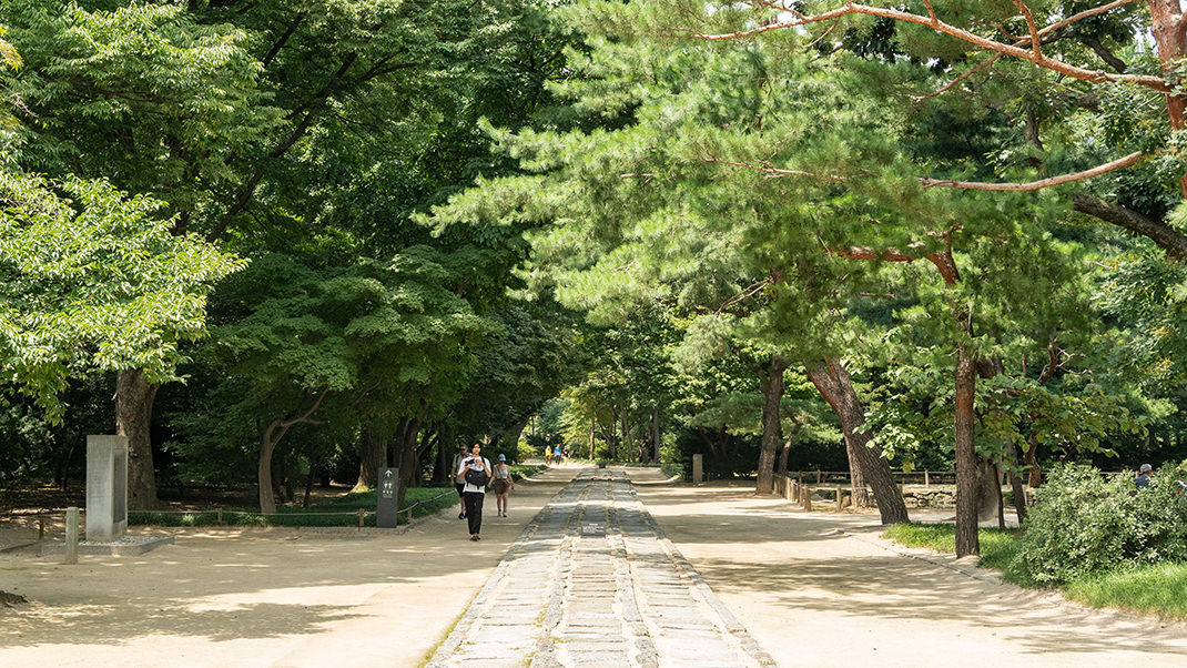 На территории