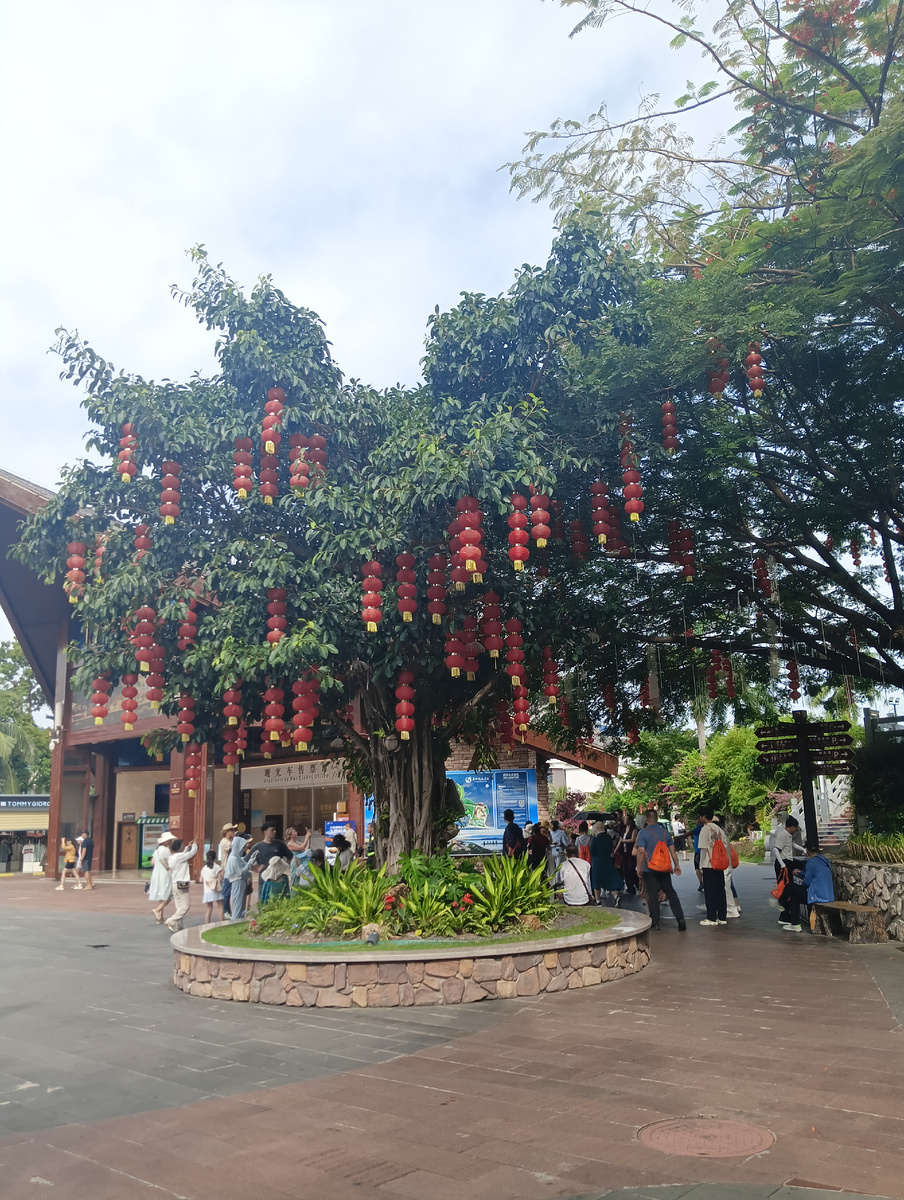 Дерево с китайскими фонариками